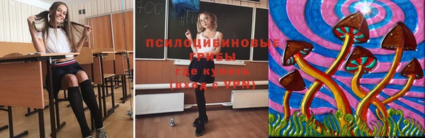 метадон Аркадак
