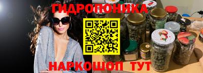 не бодяженный Сланцы