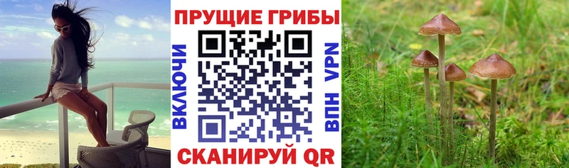Галлюциногенные грибы Magic Shrooms  Пушкино 