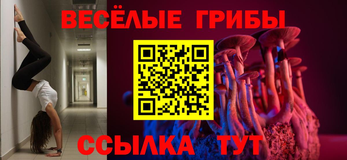 Пушкино  Псилоцибиновые грибы Psilocybine cubensis  Вход с VPN 