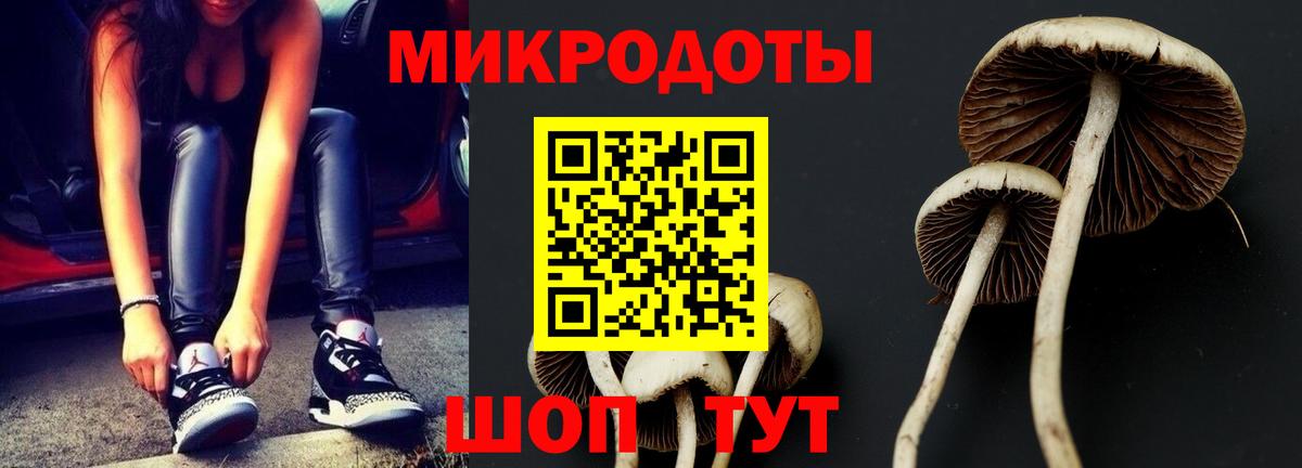 Галлюциногенные грибы Psilocybine cubensis Пушкино