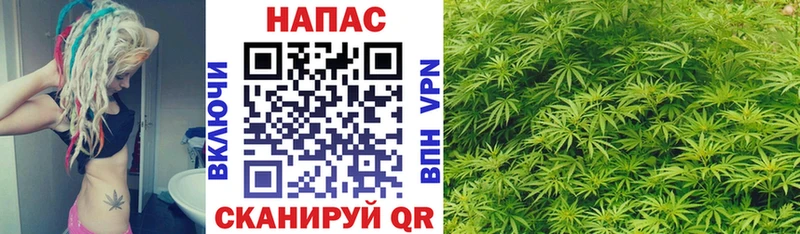 Конопля MAZAR  Пушкино 